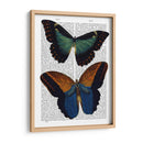 Mariposas 4 - Fab Funky | Cuadro decorativo de Canvas Lab