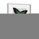 Mariposas 4 - Fab Funky | Cuadro decorativo de Canvas Lab