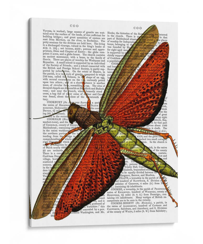 Saltamontes Vintage - Fab Funky | Cuadro decorativo de Canvas Lab