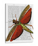 Saltamontes Vintage - Fab Funky | Cuadro decorativo de Canvas Lab