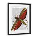 Saltamontes Vintage - Fab Funky | Cuadro decorativo de Canvas Lab