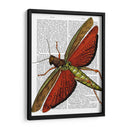 Saltamontes Vintage - Fab Funky | Cuadro decorativo de Canvas Lab
