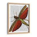 Saltamontes Vintage - Fab Funky | Cuadro decorativo de Canvas Lab