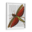 Saltamontes Vintage - Fab Funky | Cuadro decorativo de Canvas Lab