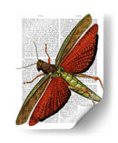 Saltamontes Vintage - Fab Funky | Cuadro decorativo de Canvas Lab