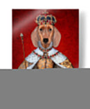 Reina Dachshund - Fab Funky | Cuadro decorativo de Canvas Lab