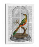 Pájaro En Campana - Fab Funky | Cuadro decorativo de Canvas Lab