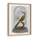 Pájaro En Campana - Fab Funky | Cuadro decorativo de Canvas Lab