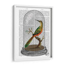 Pájaro En Campana - Fab Funky | Cuadro decorativo de Canvas Lab
