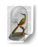 Pájaro En Campana - Fab Funky | Cuadro decorativo de Canvas Lab