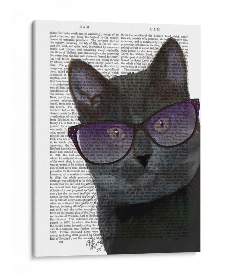 Gato Negro Con Gafas De Sol - Fab Funky | Cuadro decorativo de Canvas Lab