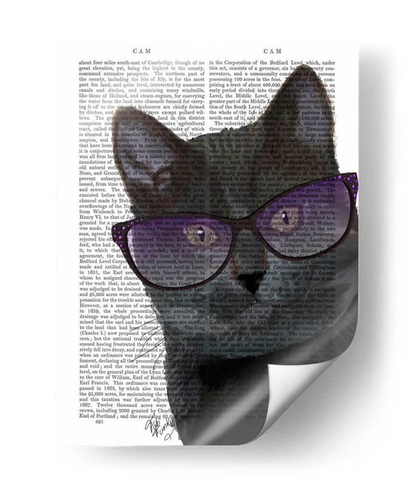 Gato Negro Con Gafas De Sol - Fab Funky | Cuadro decorativo de Canvas Lab