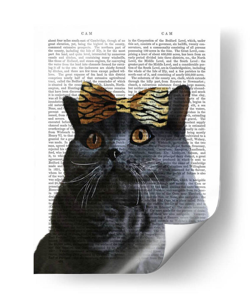 Gato Gris Con Arco Leopardo - Fab Funky | Cuadro decorativo de Canvas Lab