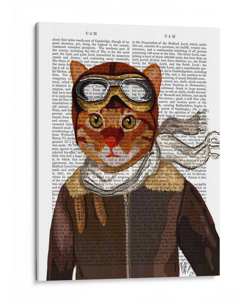 Gato Volador - Fab Funky | Cuadro decorativo de Canvas Lab