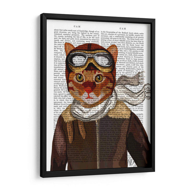 Gato Volador - Fab Funky | Cuadro decorativo de Canvas Lab