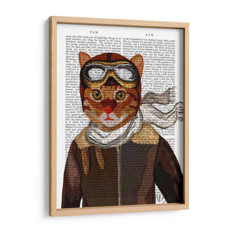 Gato Volador - Fab Funky | Cuadro decorativo de Canvas Lab