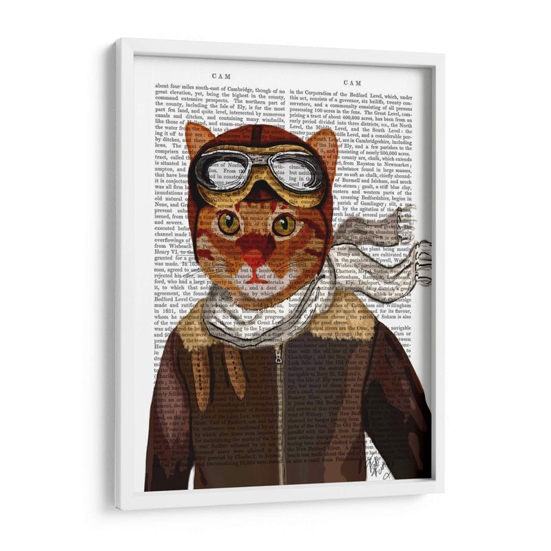 Gato Volador - Fab Funky | Cuadro decorativo de Canvas Lab