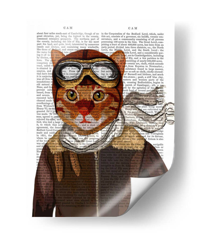 Gato Volador - Fab Funky | Cuadro decorativo de Canvas Lab