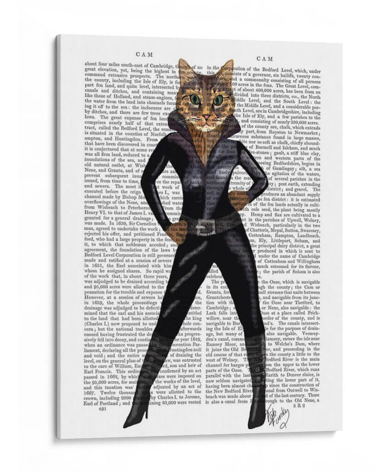 Catwoman - Fab Funky | Cuadro decorativo de Canvas Lab