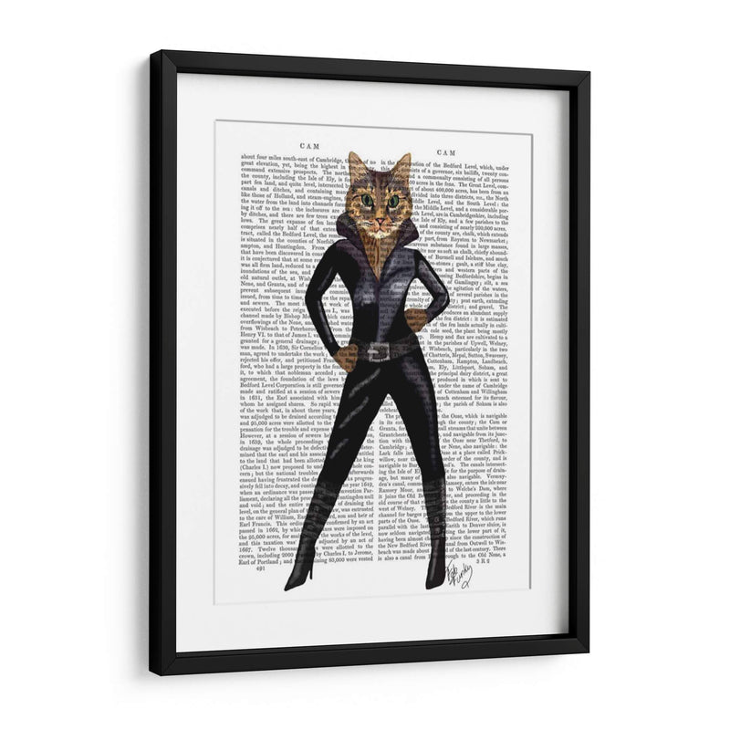 Catwoman - Fab Funky | Cuadro decorativo de Canvas Lab