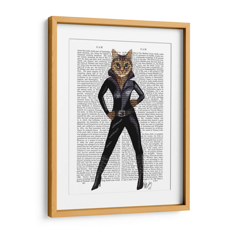 Catwoman - Fab Funky | Cuadro decorativo de Canvas Lab