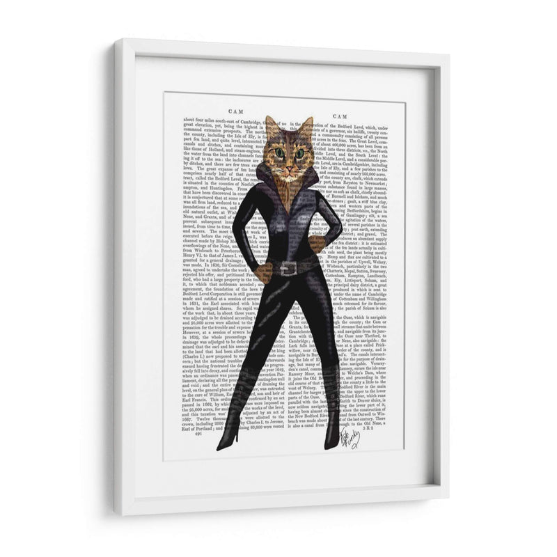 Catwoman - Fab Funky | Cuadro decorativo de Canvas Lab