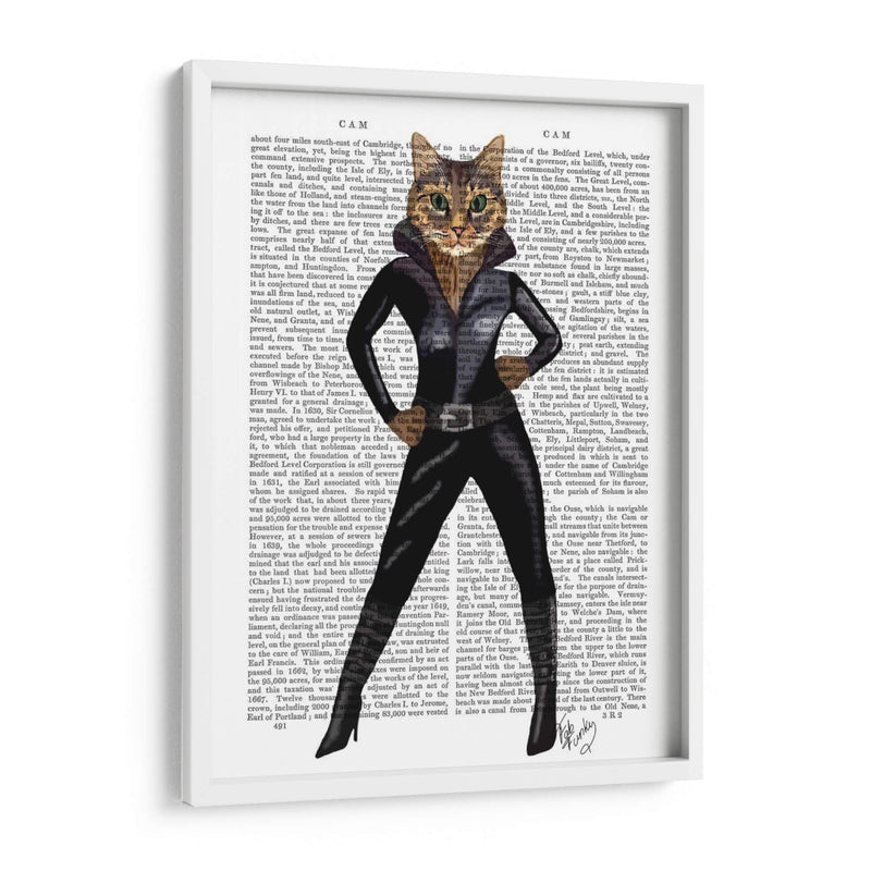 Catwoman - Fab Funky | Cuadro decorativo de Canvas Lab