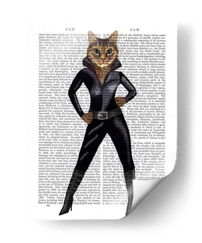 Catwoman - Fab Funky | Cuadro decorativo de Canvas Lab