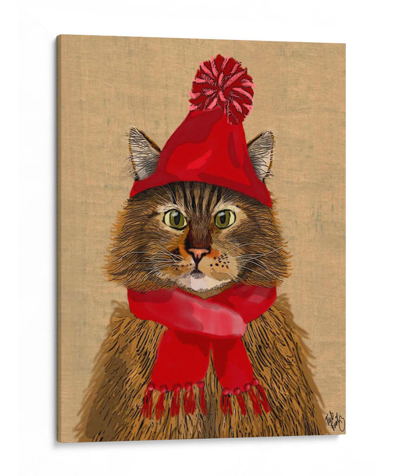 Maine Coon Cat - Fab Funky | Cuadro decorativo de Canvas Lab