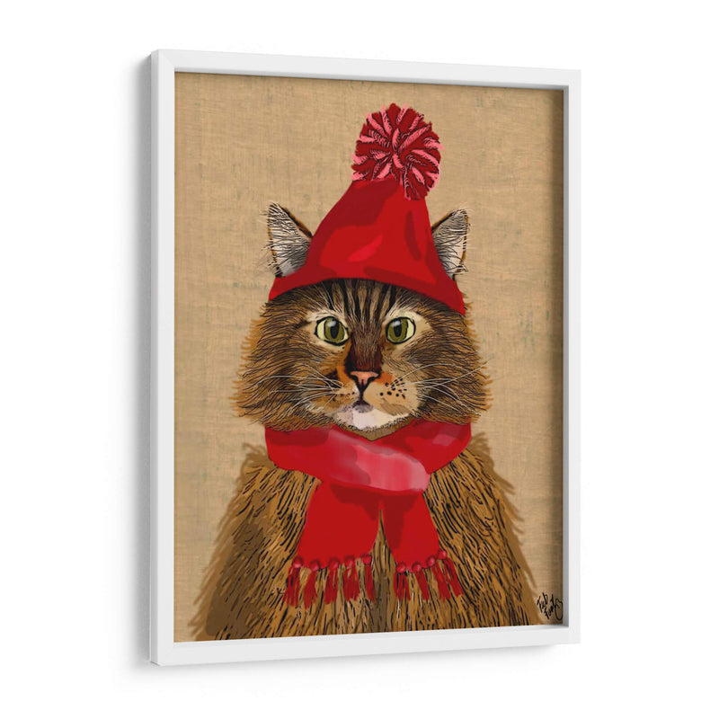 Maine Coon Cat - Fab Funky | Cuadro decorativo de Canvas Lab