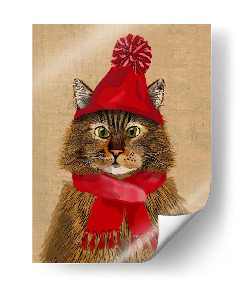 Maine Coon Cat - Fab Funky | Cuadro decorativo de Canvas Lab