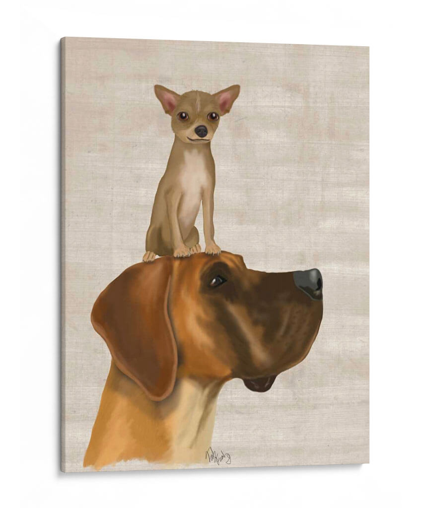 Great Dane Y Chihuahua - Fab Funky | Cuadro decorativo de Canvas Lab