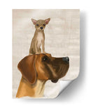 Great Dane Y Chihuahua - Fab Funky | Cuadro decorativo de Canvas Lab