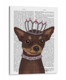 Chihuahua Y Tiara Marrones - Fab Funky | Cuadro decorativo de Canvas Lab