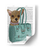 Chihuahua En Bolsa - Fab Funky | Cuadro decorativo de Canvas Lab