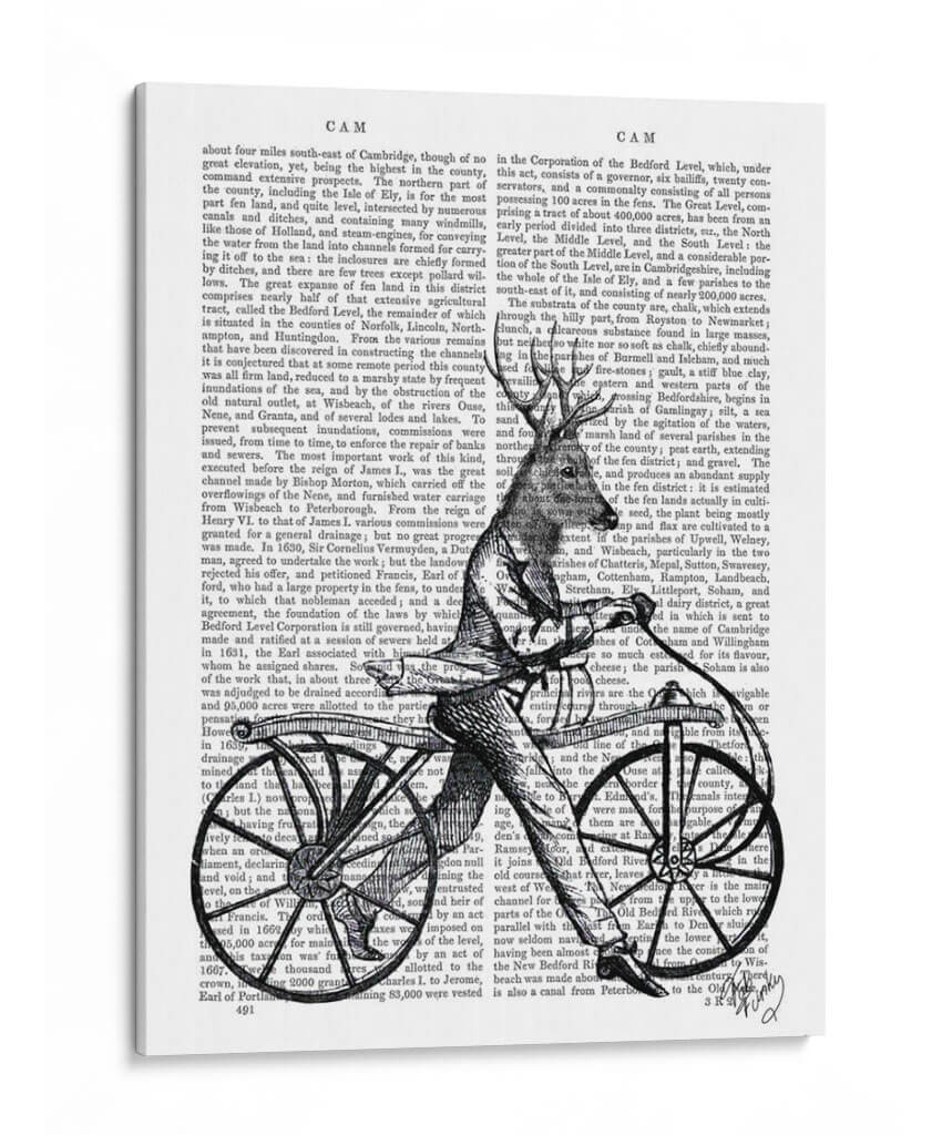 Dandy Ciervos En La Bicicleta Vintage - Fab Funky | Cuadro decorativo de Canvas Lab