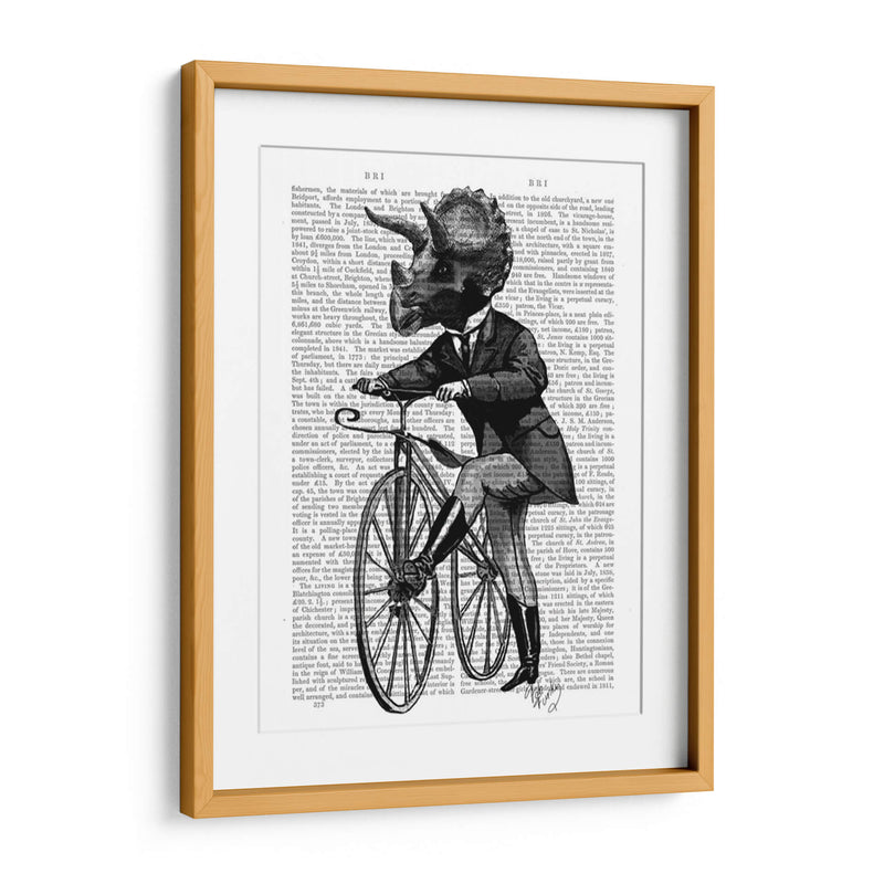 Triceratops Hombre En Bicicleta Dinosaurio - Fab Funky | Cuadro decorativo de Canvas Lab