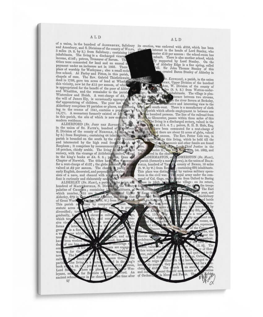 Dalmacia En Bicicleta - Fab Funky | Cuadro decorativo de Canvas Lab