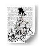 Dalmacia En Bicicleta - Fab Funky | Cuadro decorativo de Canvas Lab