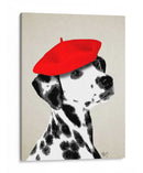 Dalmático Con Boina Roja - Fab Funky | Cuadro decorativo de Canvas Lab