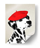 Dalmático Con Boina Roja - Fab Funky | Cuadro decorativo de Canvas Lab