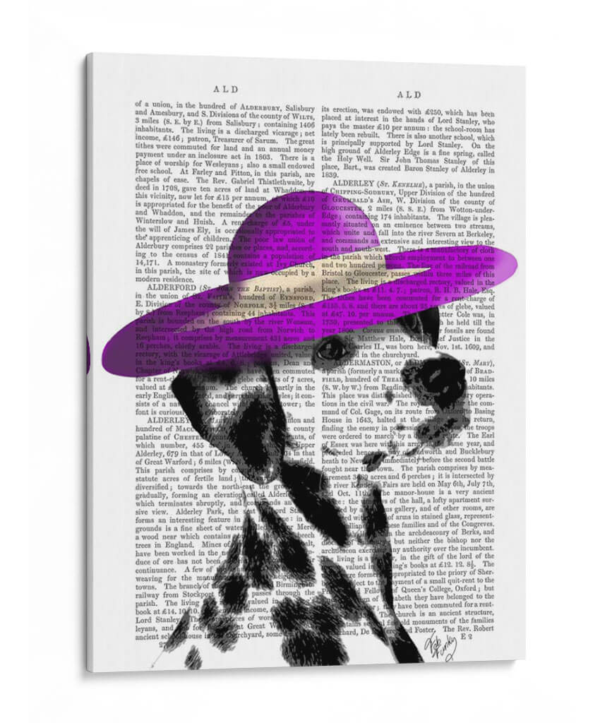 Dalmático Con Sombrero De Ala Ancha Púrpura - Fab Funky | Cuadro decorativo de Canvas Lab