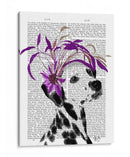 Dalmático Con Fascinador Púrpura - Fab Funky | Cuadro decorativo de Canvas Lab