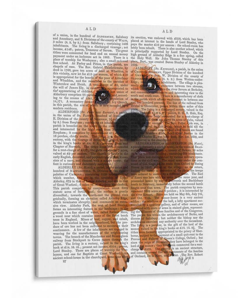 Cachorro De Sabueso - Fab Funky | Cuadro decorativo de Canvas Lab