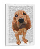 Cachorro De Sabueso - Fab Funky | Cuadro decorativo de Canvas Lab