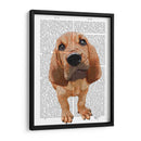 Cachorro De Sabueso - Fab Funky | Cuadro decorativo de Canvas Lab