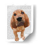 Cachorro De Sabueso - Fab Funky | Cuadro decorativo de Canvas Lab