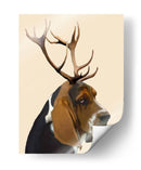 Basset Hound And Astens - Fab Funky | Cuadro decorativo de Canvas Lab
