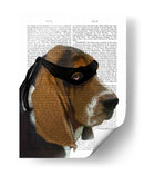 Basset Hound Ninja - Fab Funky | Cuadro decorativo de Canvas Lab