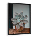 Suculenta en macetita | Cuadro decorativo de Canvas Lab